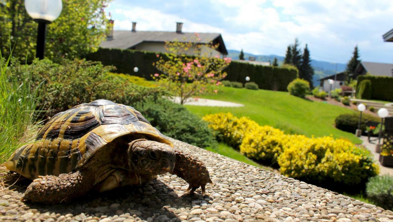 Garden Apartments Jansa Radovljica Esterno foto